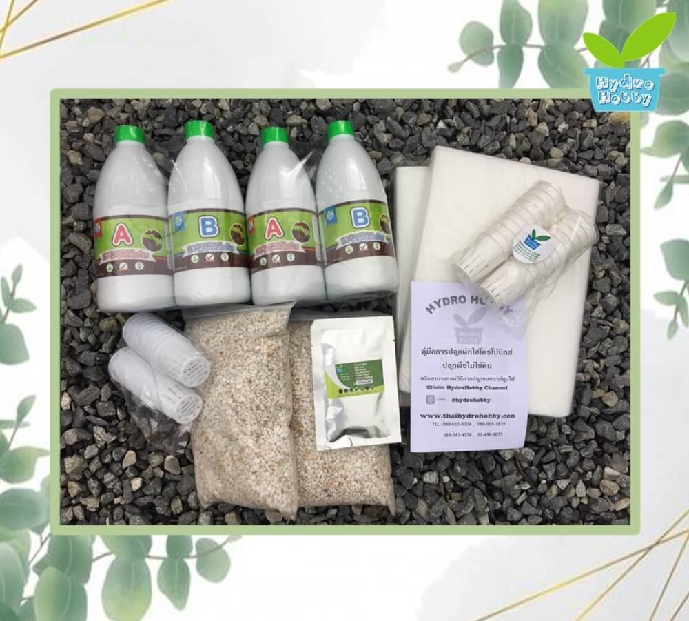 ชุดอุปกรณ์ปลูกผักไฮโดรโปนิกส์ HYDROHOBBY SET D